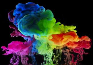 蚂蚁庄园动物中也有色盲吗 2月22日正确答案解析