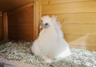 天气回暖的心情朋友圈说说 天气变暖和了的感受句子