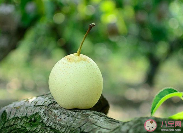中国优质鸭梨基地重点县是哪个 蚂蚁新村2月22日答案更新