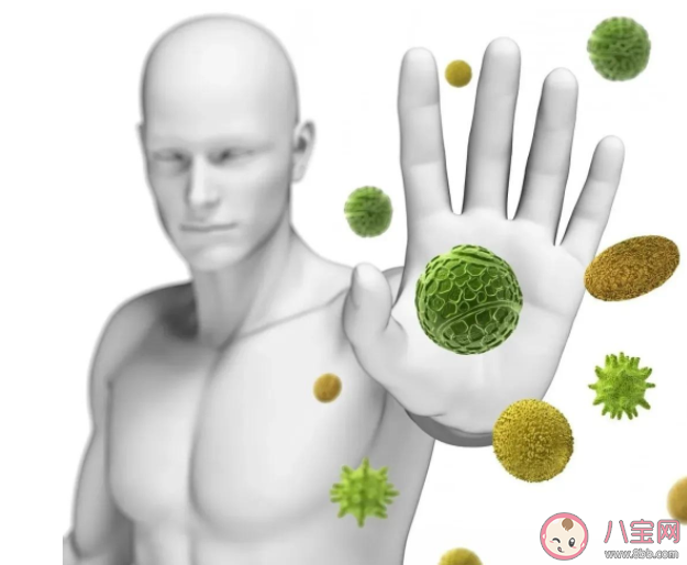 好看的人免疫功能更强大吗 如何科学提高免疫力