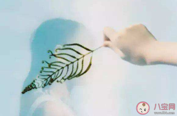 如何拿捏社交分寸感 社交的分寸感在哪 如何拿捏社交分寸感 社交的分寸感在哪