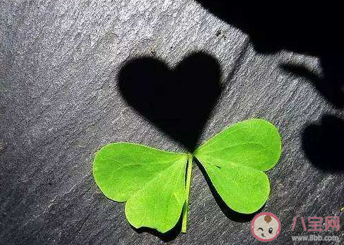 如何拿捏社交分寸感 社交的分寸感在哪 如何拿捏社交分寸感 社交的分寸感在哪