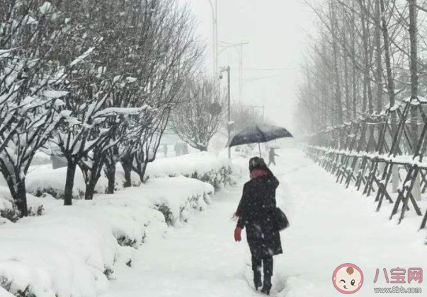 飞鸿起踏破云烟万水千山之间是什么歌 《踏雪》完整版歌词在线听歌