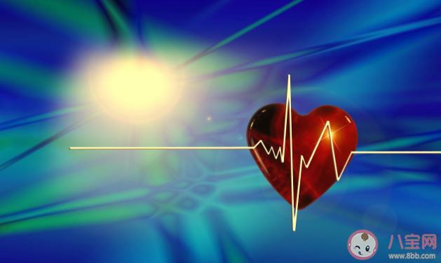 心跳快慢影响寿命吗 心跳慢更长寿吗 心跳快慢影响寿命吗 心跳慢更长寿吗