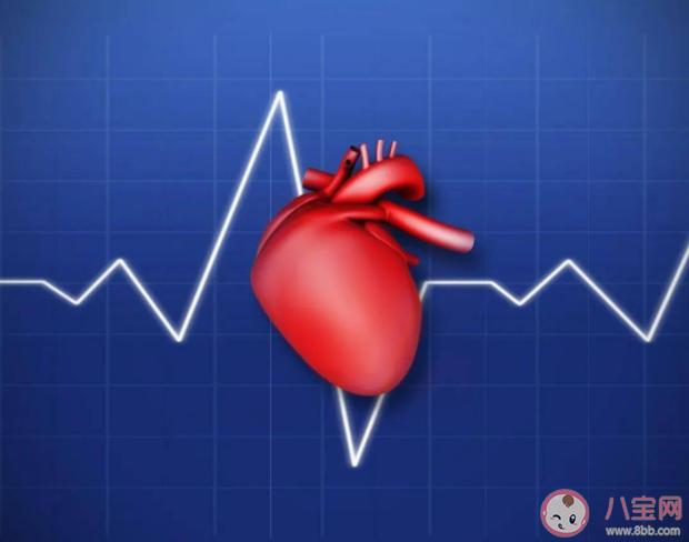 心跳快慢影响寿命吗 心跳慢更长寿吗 心跳快慢影响寿命吗 心跳慢更长寿吗