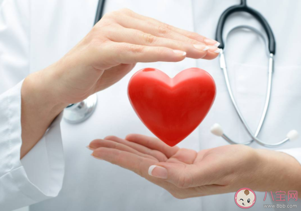 心跳快慢影响寿命吗 心跳慢更长寿吗 心跳快慢影响寿命吗 心跳慢更长寿吗