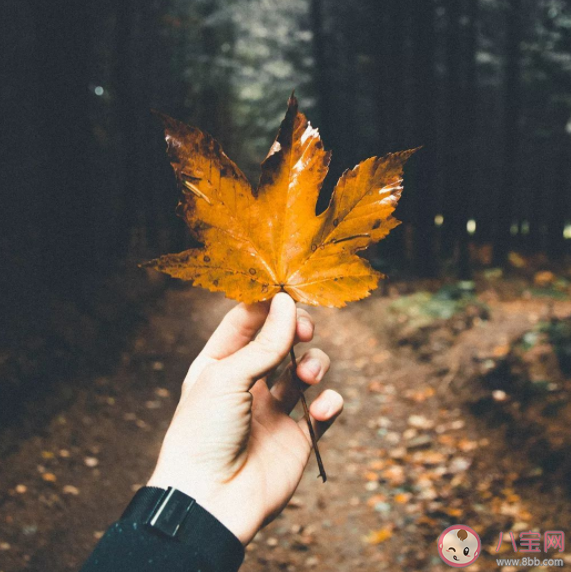 失而复得的感情是一种怎样的体验 失而复得的爱还能长久吗