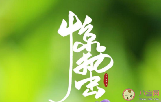 2022惊蛰节气图片早安正能量说说句子 2022惊蛰节气早安一句话带图说说