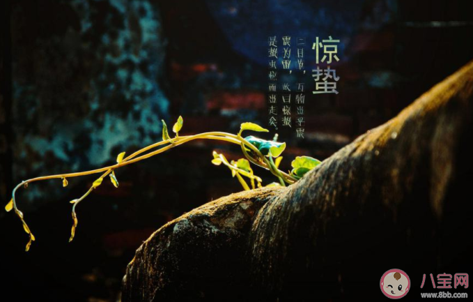 2022今日惊蛰问候语发朋友圈说说 2022惊蛰节气祝福语句子大全