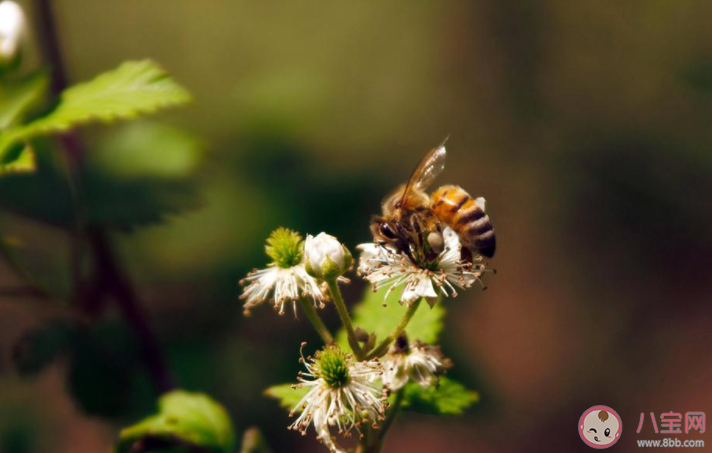 2022今日惊蛰问候语发朋友圈说说 2022惊蛰节气祝福语句子大全