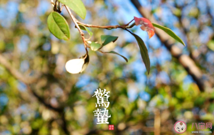 2022今日惊蛰问候语发朋友圈说说 2022惊蛰节气祝福语句子大全