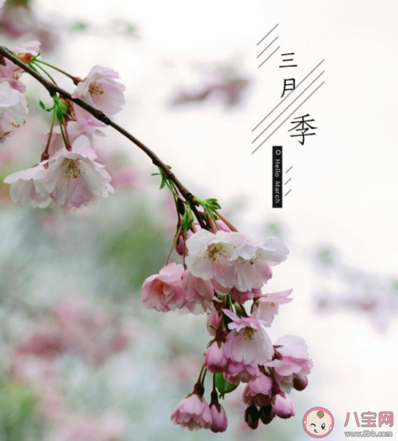 3月第一天的图片心情配文句子 3月第一天的正能量语录说说