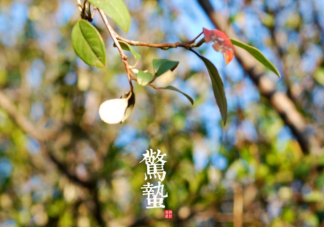 2022今日惊蛰问候语发朋友圈说说 2022惊蛰节气祝福语句子大全