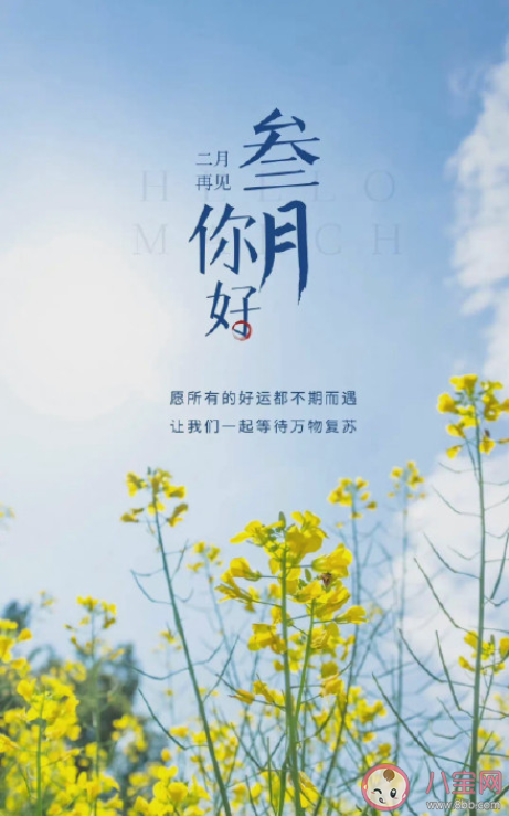 关于三月高级朋友圈文案句子汇总 三月走心优质朋友圈心情文案