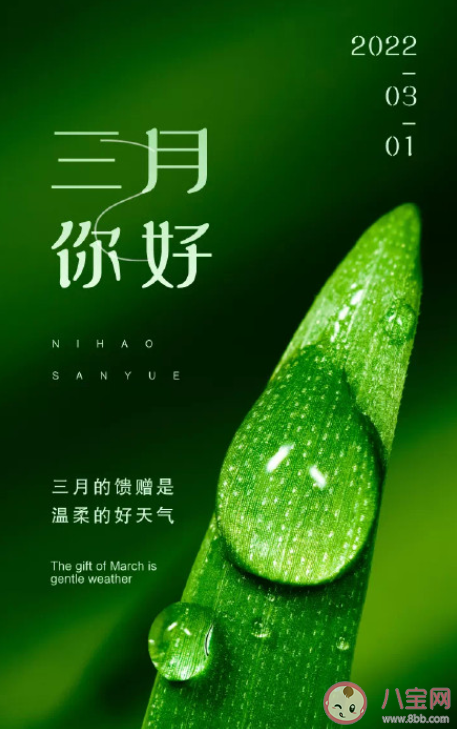 关于三月高级朋友圈文案句子汇总 三月走心优质朋友圈心情文案