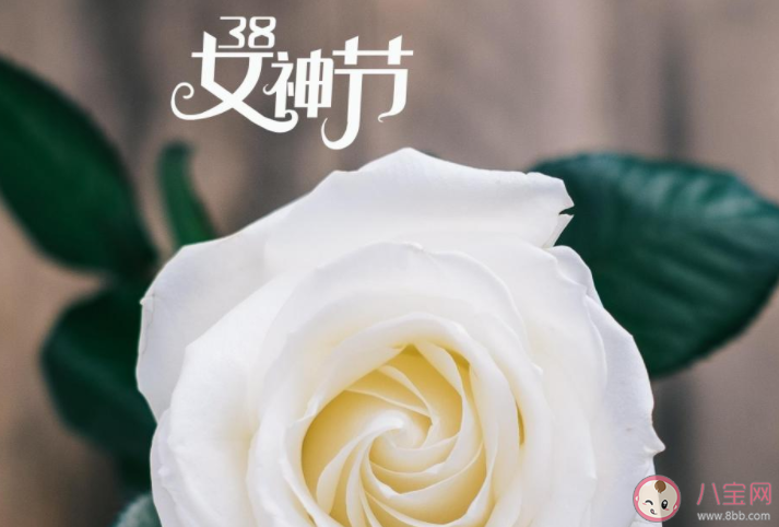 2022三八妇女节说说心情短语大全 2022妇女节说说人生感悟句子