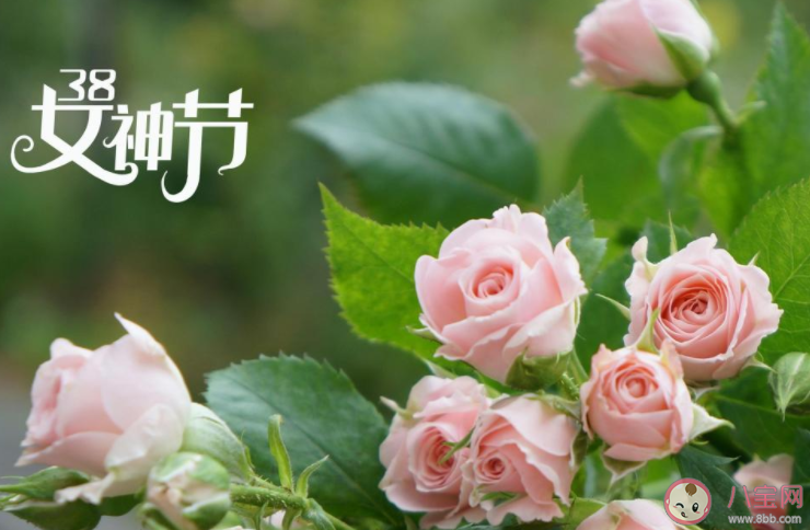 2022三八妇女节说说心情短语大全 2022妇女节说说人生感悟句子