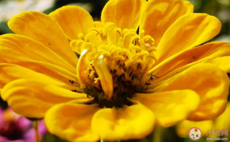 春天来了的优美句子说说 描写春天的文案句子大全 春天来了的优美句子说说 描写春天的文案句子大全