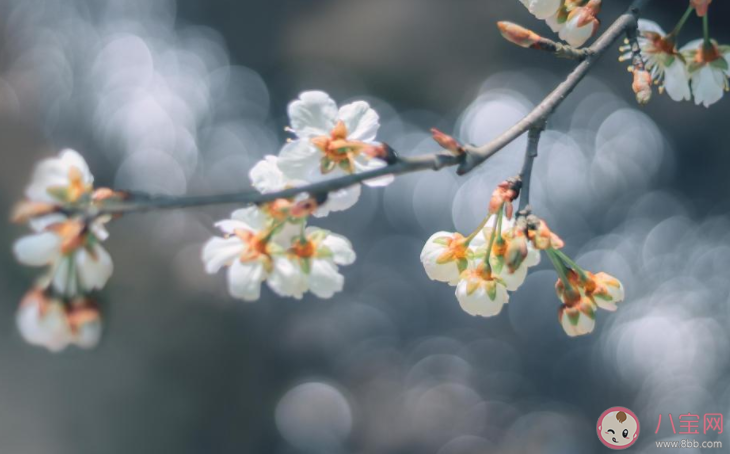 2022小学生关于春天的优秀作文范文 2022小学生描写春天的主题作文大全