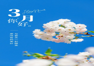 关于三月高级朋友圈文案句子汇总 三月走心优质朋友圈心情文案