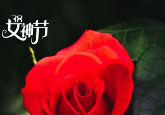 3.8女神节的高级朋友圈文案说说 3.8女神节适合发朋友圈的句子大全