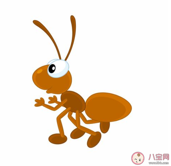 蚂蚁在冬季消失是因为需要冬眠吗 蚂蚁是如何过冬的