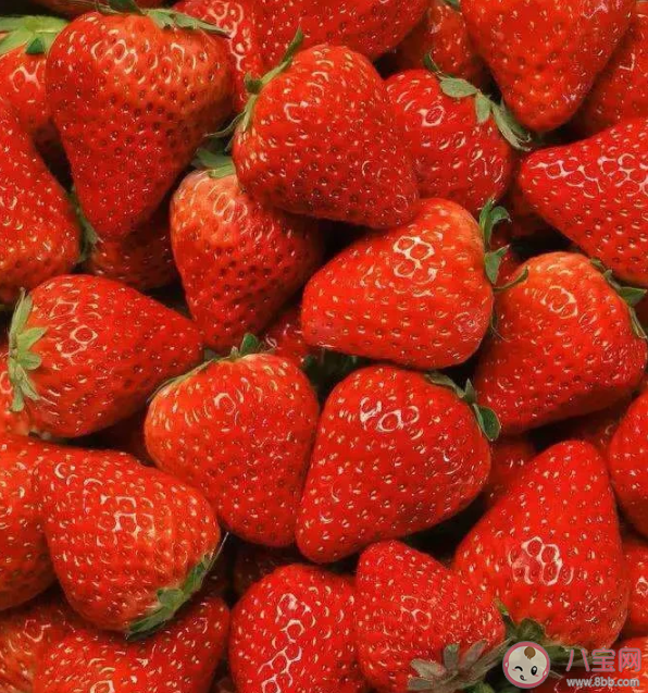 蚂蚁庄园3月10日问题答案：平常吃的草莓其实是它的什么部位