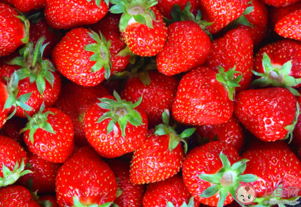 蚂蚁庄园3月10日问题答案：平常吃的草莓其实是它的什么部位