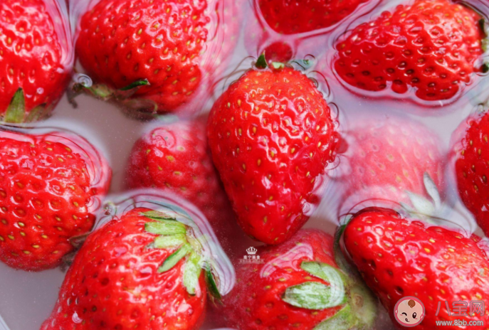 免洗草莓真的不用洗吗 草莓怎么洗吃起来才安全