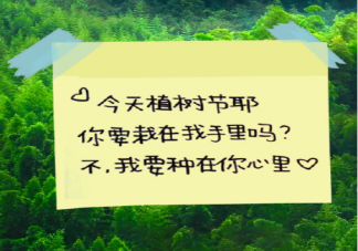 2022植树节可爱文案句子最新 适合植树节发的微信说说句子