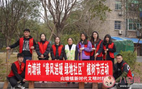 社区植树节种树活动新闻稿三篇 社区植树节栽树的活动报道美篇