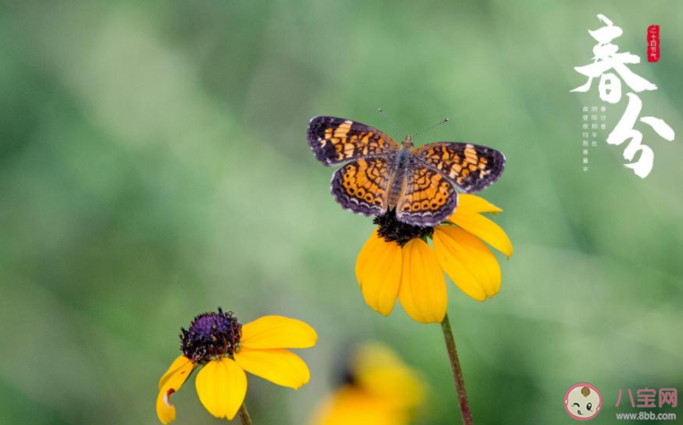 2022春分节气图片精美文案朋友圈说说 2022春分节气的图片带字文案说说