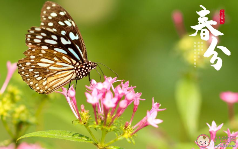 2022春分节气图片精美文案朋友圈说说 2022春分节气的图片带字文案说说