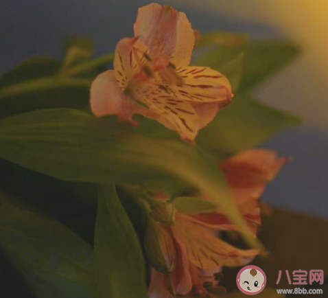 女性成长必须知道的事 哪些事情女生一定要明白