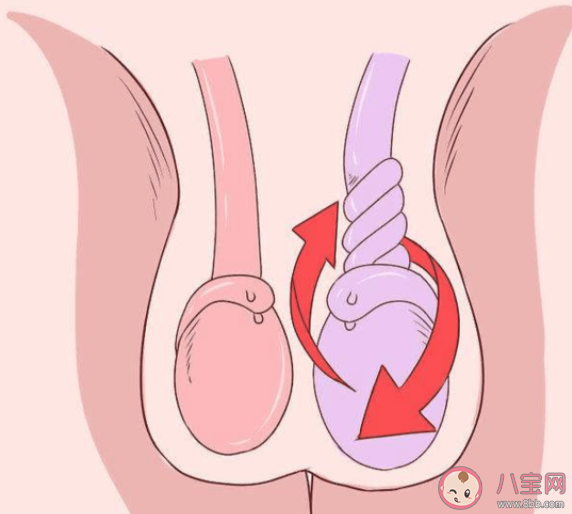 孩子蛋蛋不一样大正常吗 睾丸大小不一怎么办