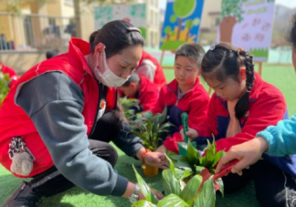 2022幼儿园植树节创意活动报道美篇 2022幼儿园植树活动新闻稿大全