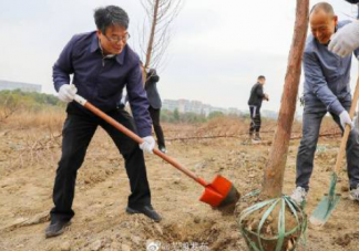 第44个植树节主题活动报道稿简报 第44个植树节植树造林活动简讯