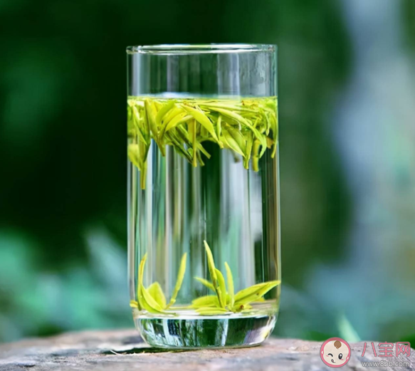 春茶是采摘越早品质越好吗 蚂蚁庄园3月13日答案