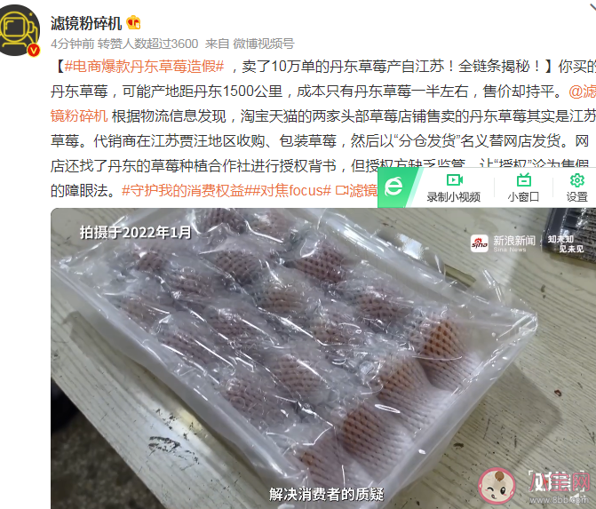 电商爆款丹东草莓造假 丹东99草莓怎么分辨真假