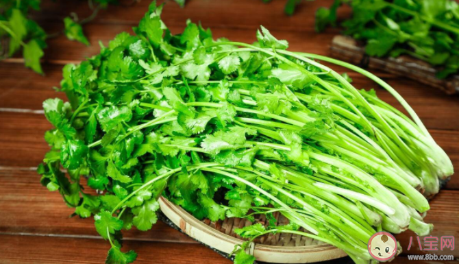 香菜的特殊味道和什么有关 吃香菜有什么好处