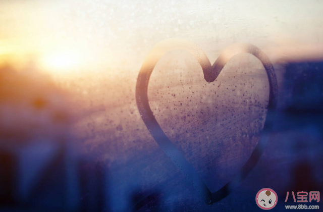 感情中过度理性会怎样 感情中变得理性是变质了吗 感情中过度理性会怎样 感情中变得理性是变质了吗