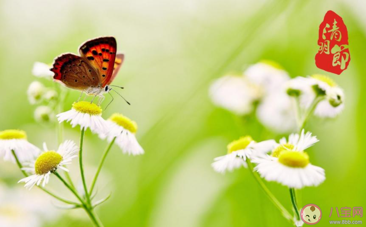 2022清明节图片问候语发朋友圈说说 2022清明节的带字图片文案说说