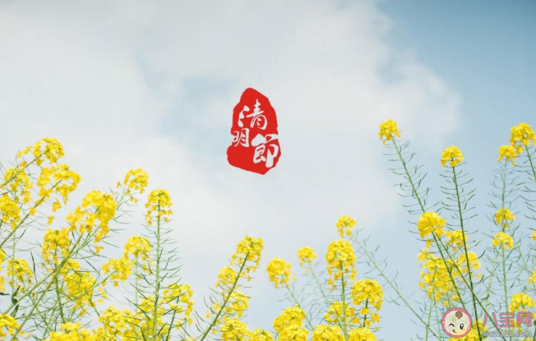 2022清明节图片问候语发朋友圈说说 2022清明节的带字图片文案说说