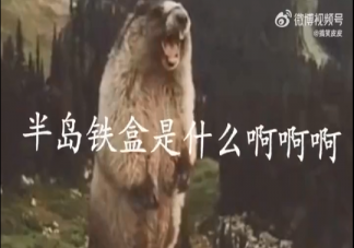 半岛铁盒是什么意思什么梗 半岛铁盒梗出处是哪里