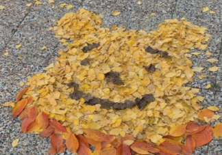 怎么理解无需回应式友情 无需回应式的友情是怎样的