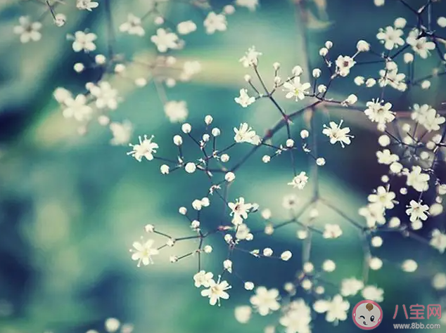 不油腻很清新的朋友圈文案 不油腻的微信文案句子大全