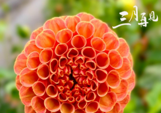 3月最后一天的图片励志说说 3月最后一天带字图片句子