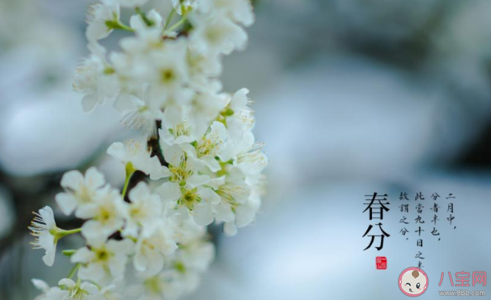 又是春分节气的经典文案说说 春分节气到了的朋友圈句子