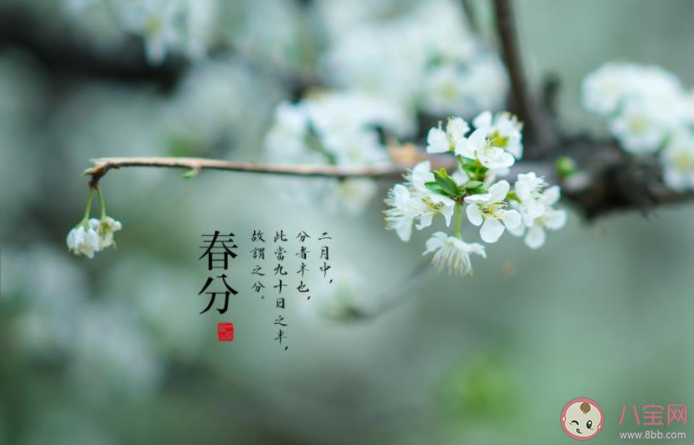 又是春分节气的经典文案说说 春分节气到了的朋友圈句子