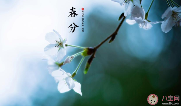 又是春分节气的经典文案说说 春分节气到了的朋友圈句子